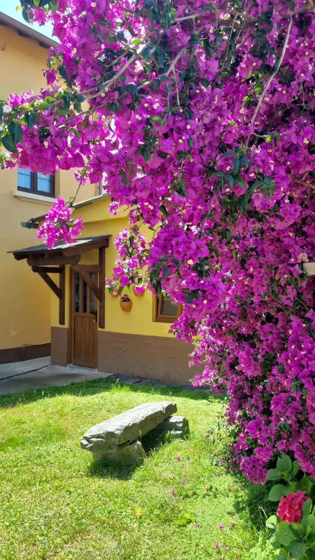 Apartamento La Quintana de Figares Luarca Exterior foto